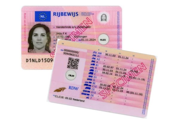 Nederlands Rijbewijs