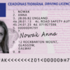 Buy Irish Drivers License
