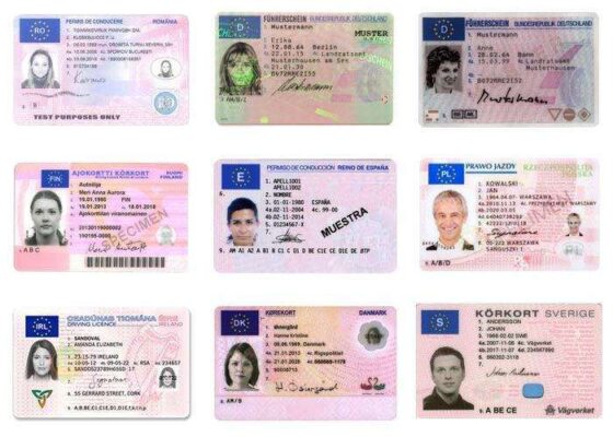 Driving License European Union 5 Online Vital Facts 2026