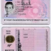 Permis de Conduire Français