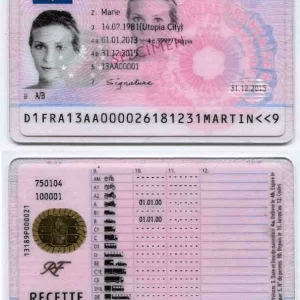 Permis de Conduire Français