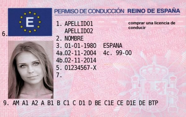 Permiso de Conducir Español