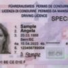 Schweiz Führerschein Kaufen