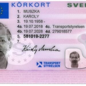 Svenskt Körkort Online