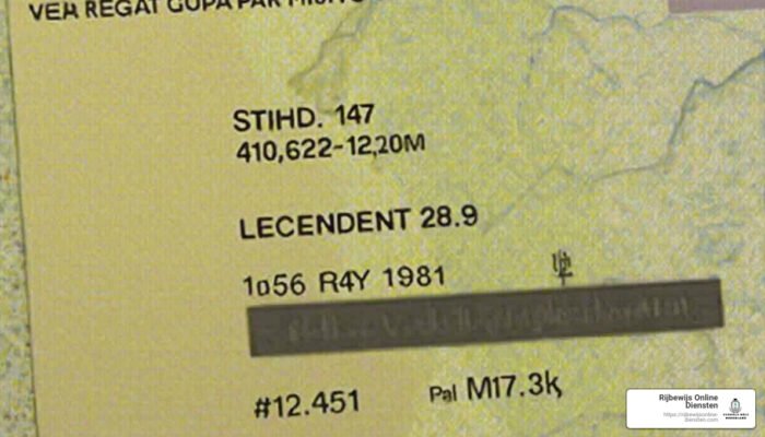new eu driving licence