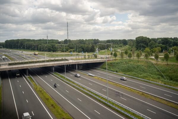 rijbewijs halen in nederland
