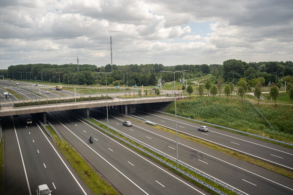 rijbewijs halen in nederland