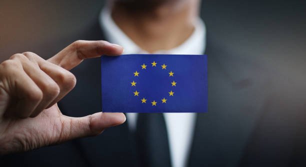 EU driver's license online